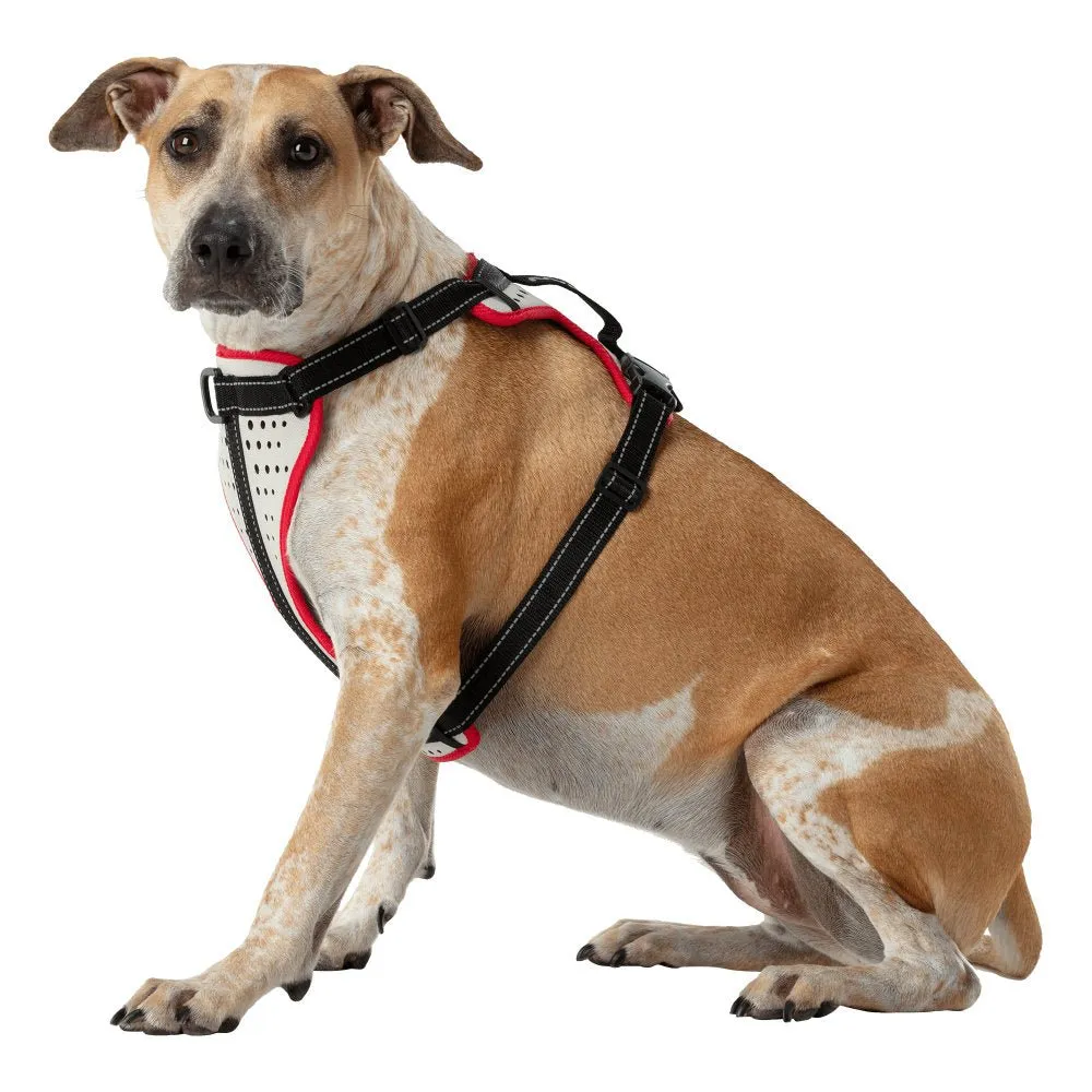 K9 Series Dog Harness With Leash