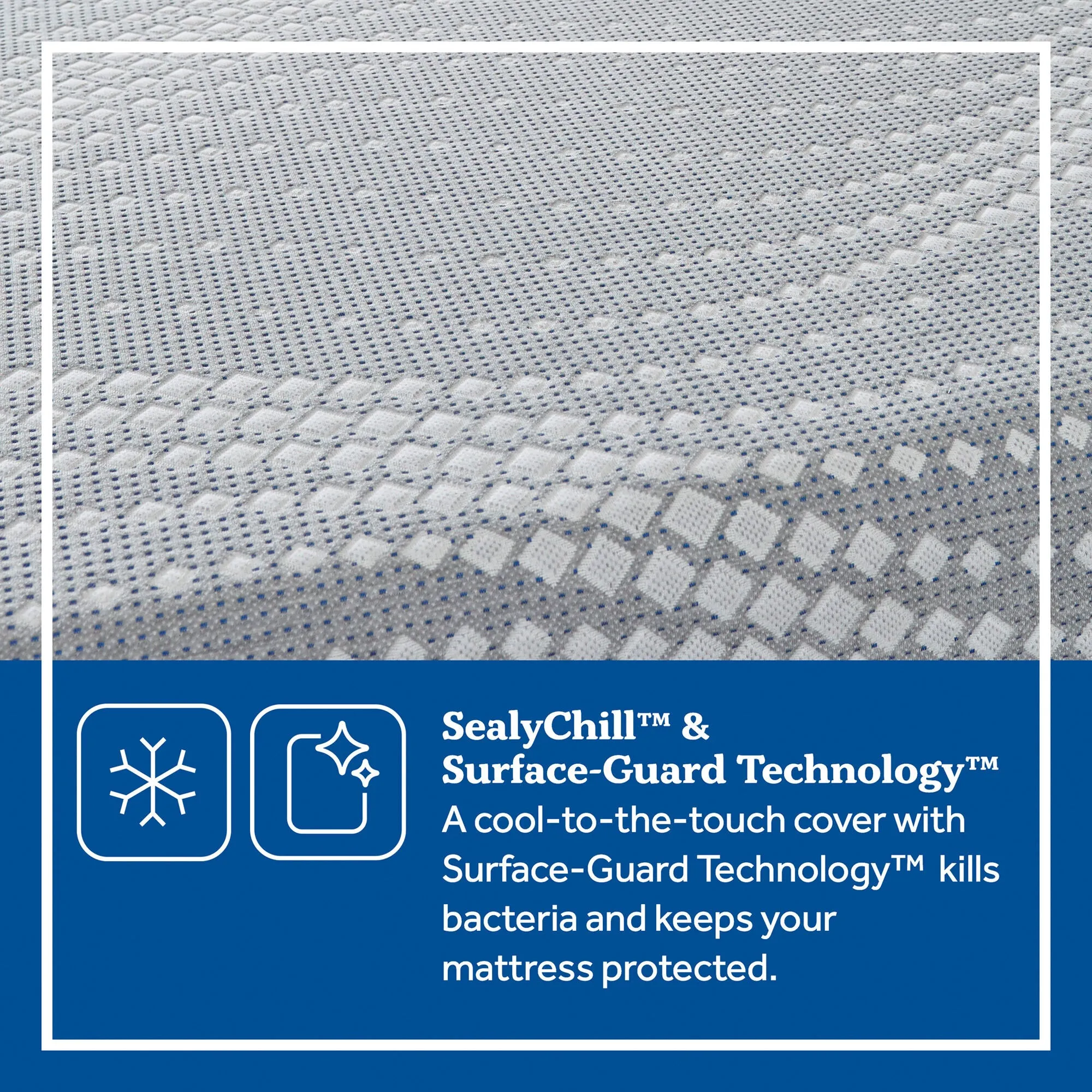 Sealy Posturepedic Lacey Soft Memory Foam Mattress in a Box